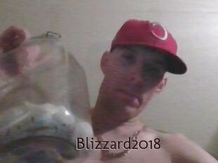 Blizzard2018