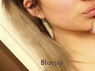 Blue_jay