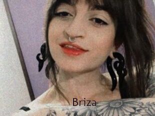 Briza
