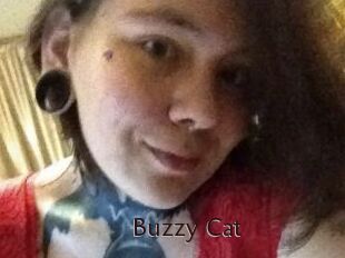 Buzzy_Cat