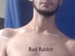 Bad_Rabbit