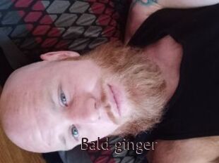 Bald_ginger