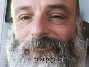 Bearpig001