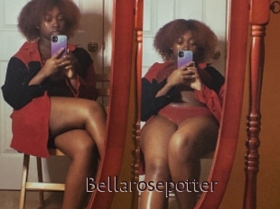 Bellarosepotter