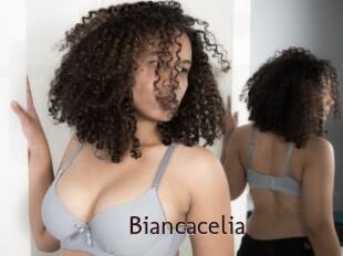 Biancacelia