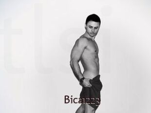 Bica1223