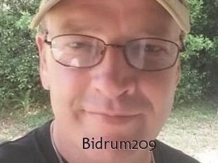 Bidrum209