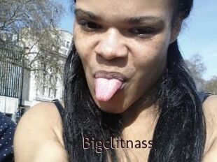 Bigclitnass