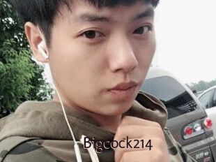Bigcock214