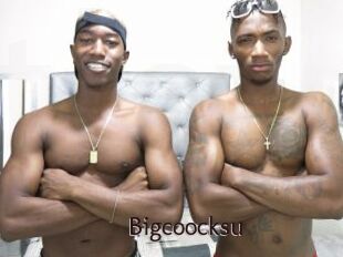 Bigcoocksu