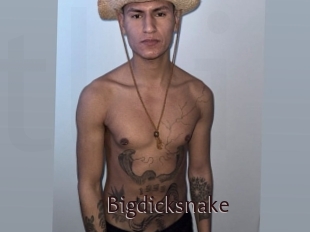 Bigdicksnake