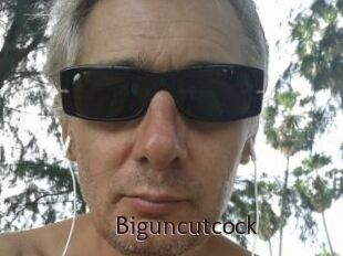 Biguncutcock