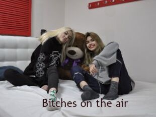 Bitches_on_the_air