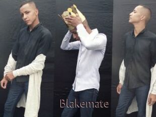 Blakemate