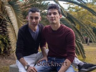 Bleicknort