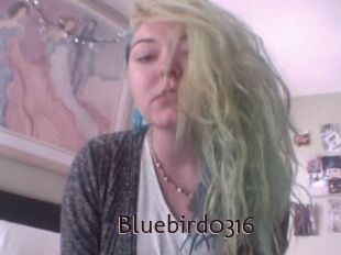 Bluebird0316