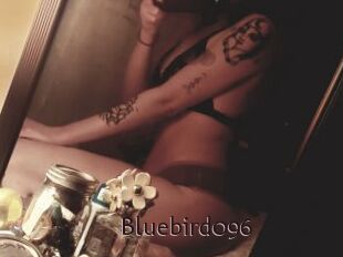 Bluebird096