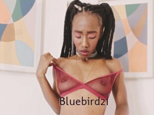 Bluebird21