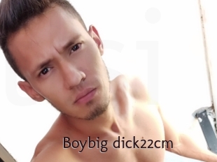 Boybig_dick22cm
