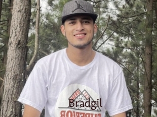 Bradgil