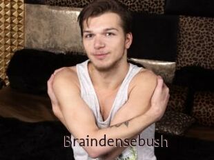 Braindensebush
