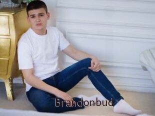 Brandonbud