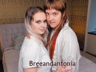 Breeandantonia