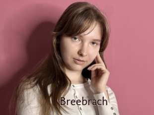 Breebrach