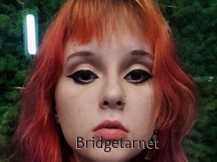 Bridgetarnet
