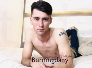 Burningdany
