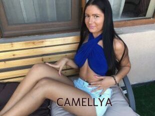 CAMELLYA_