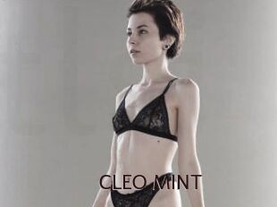 CLEO_MINT