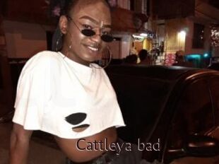 Cattleya_bad