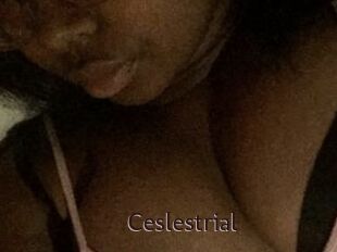 Ceslestrial
