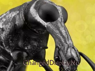 ChangedDisplayNu