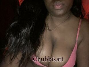 Chubbikatt
