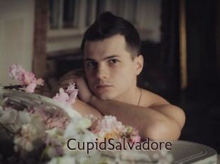 CupidSalvadore