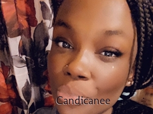Candicanee