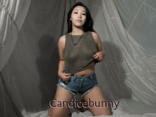 Candicebunny