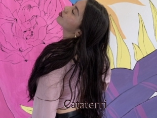 Cataterri