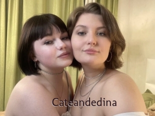 Cateandedina