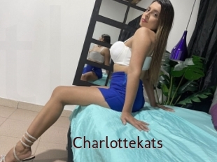 Charlottekats