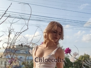Chloecolts