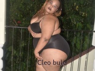 Cleo_bule