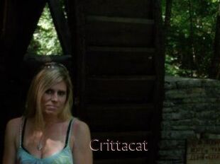 Crittacat