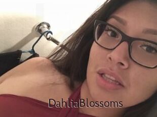 DahliaBlossoms
