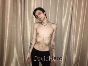DavidHero