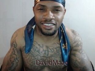 David_Maze