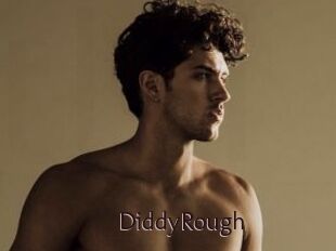 DiddyRough