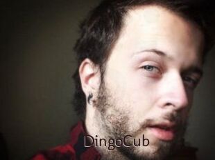 DingoCub